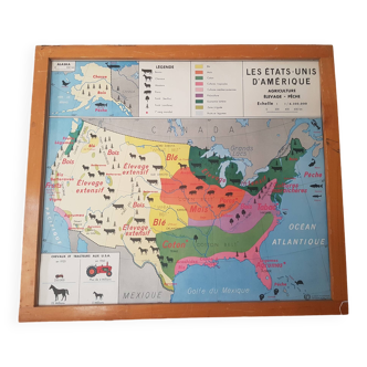 Vintage school map