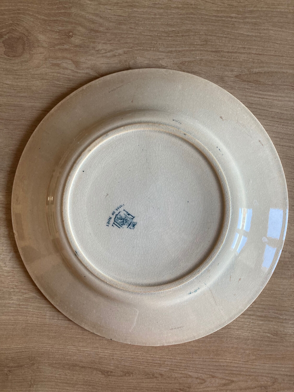 Assiette Terre de fer motif « Rose de Noël »