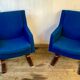 Pair of Chair of the Strasbourg Council of Europe