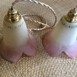 Pair of wine suspensions