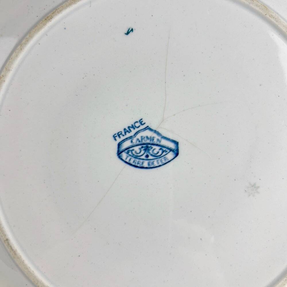 5 mismatched plates Terre de fer 1900