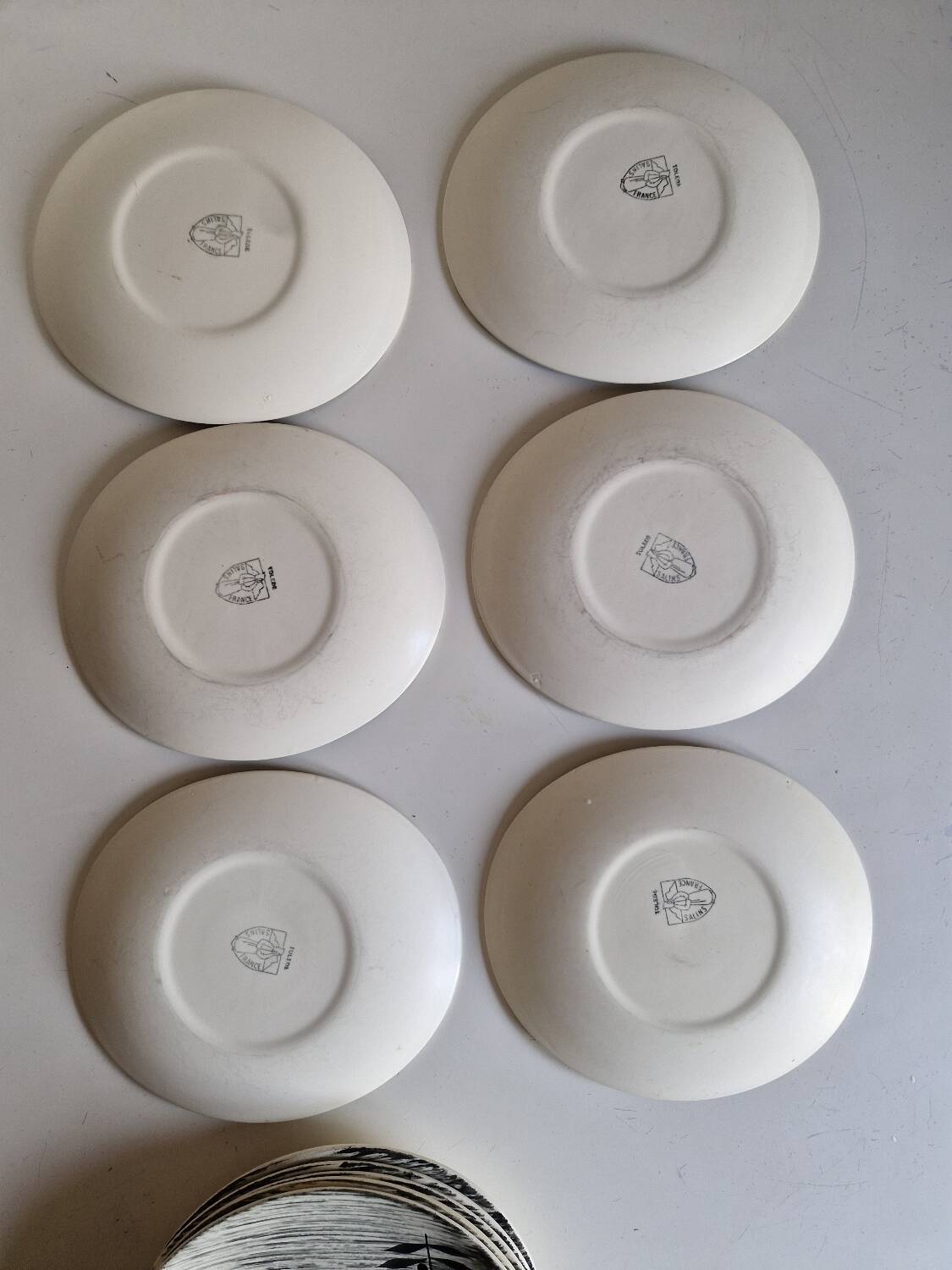 Set of 12 oval-shaped dinner plates, Salins Tolede pattern
