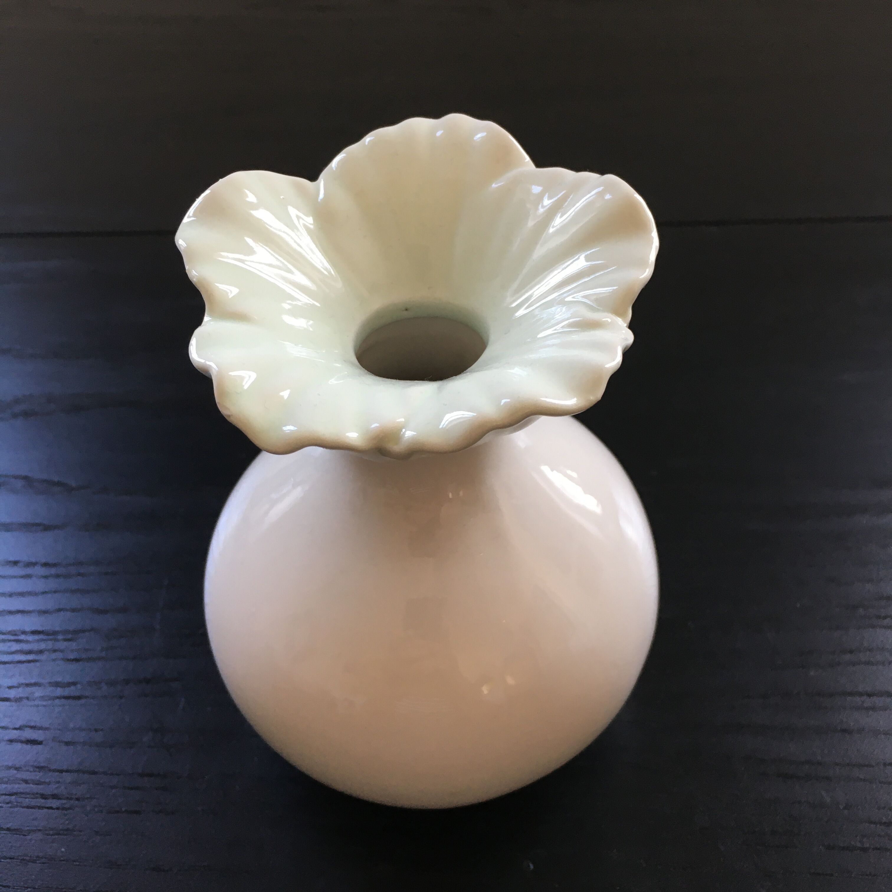 Soliflore white flower