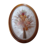 Vintage dried flower frame