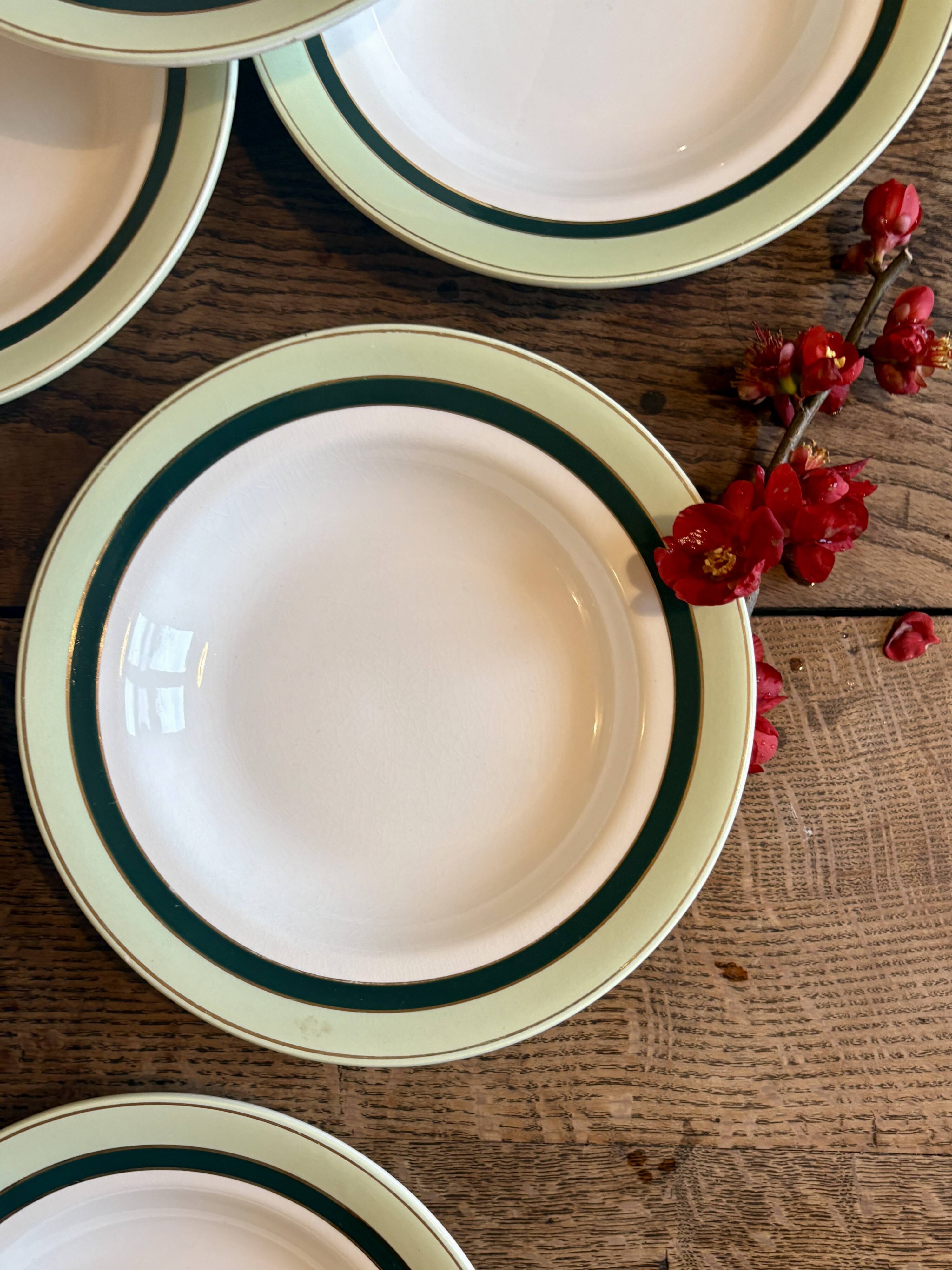 Set of 7 antique deep plates Salins - green Texas -