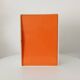 Vintage medicine cabinet in rigid plastic 70s