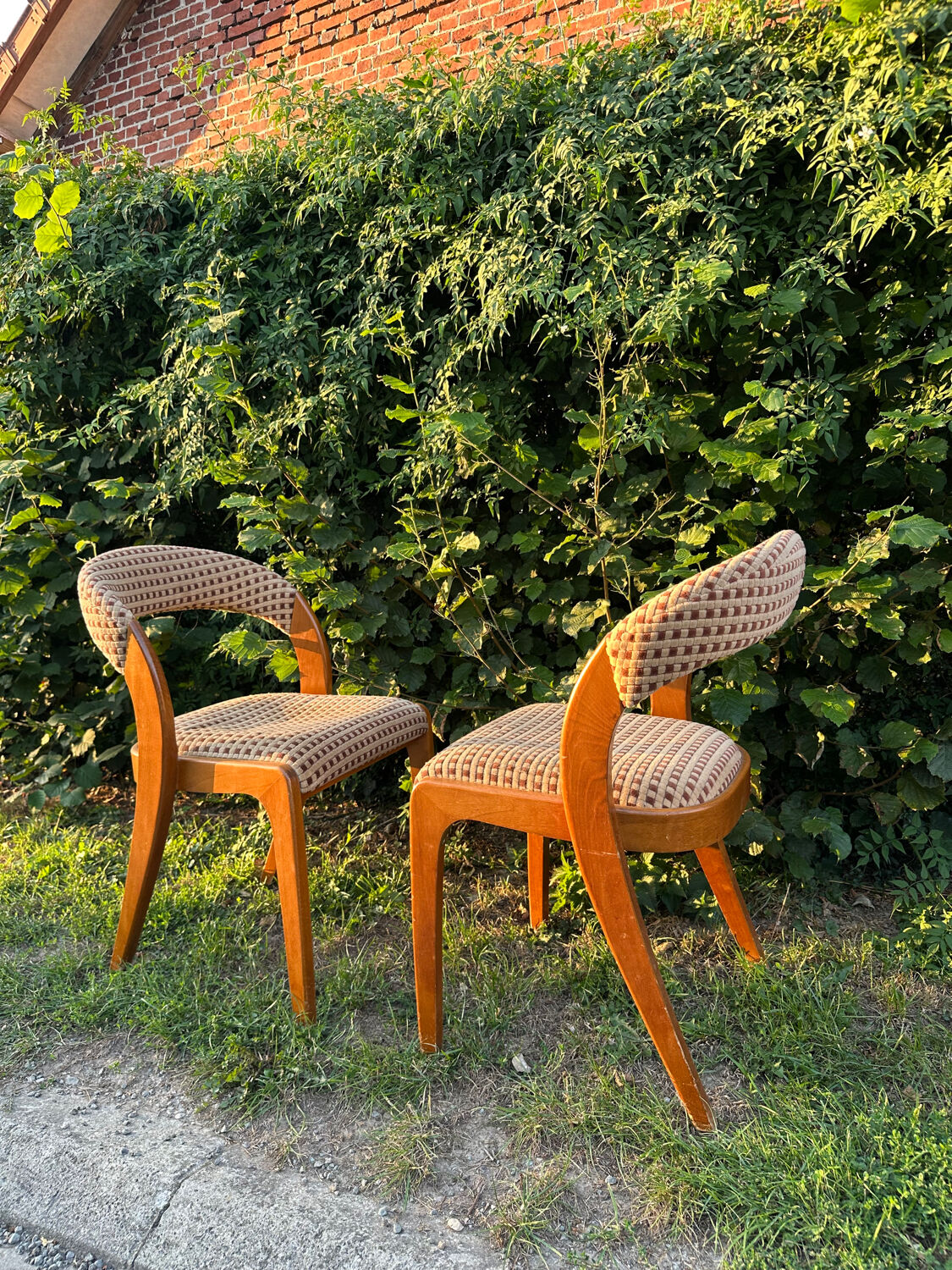 Pair of vintage designer chairs from the 50s/60s, Baumann style