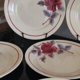 11 Flat plates flower Moulin des Loups and hamage