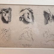 Print Engraving Elementary Course Female Ear Delarue Lemercier