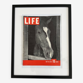 Life magazine couverture encadrée 40s 50s 60s design eames era horse cheval