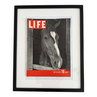 Life magazine framed cover 40s 50s 60s design eames era horse horse