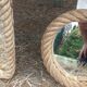 Set of 2 Audoux and Minet mirrors with rope from the 1950s.