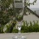Set of 6 antique crystal champagne flutes. Engraved frieze.