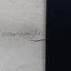 Old Herbarium 1894 four framed plates