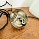 Adjustable Posa Pendant Lamp with Porcelain Shade by Florian Schulz
