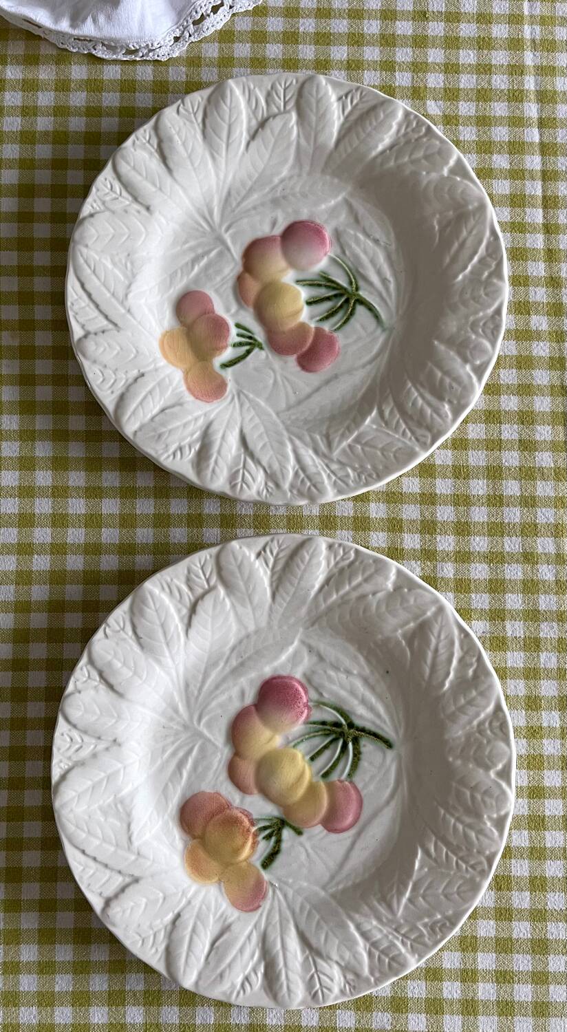 9 dessert plates and 1 barbotine dish from Sarreguemines