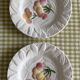 9 dessert plates and 1 barbotine dish from Sarreguemines