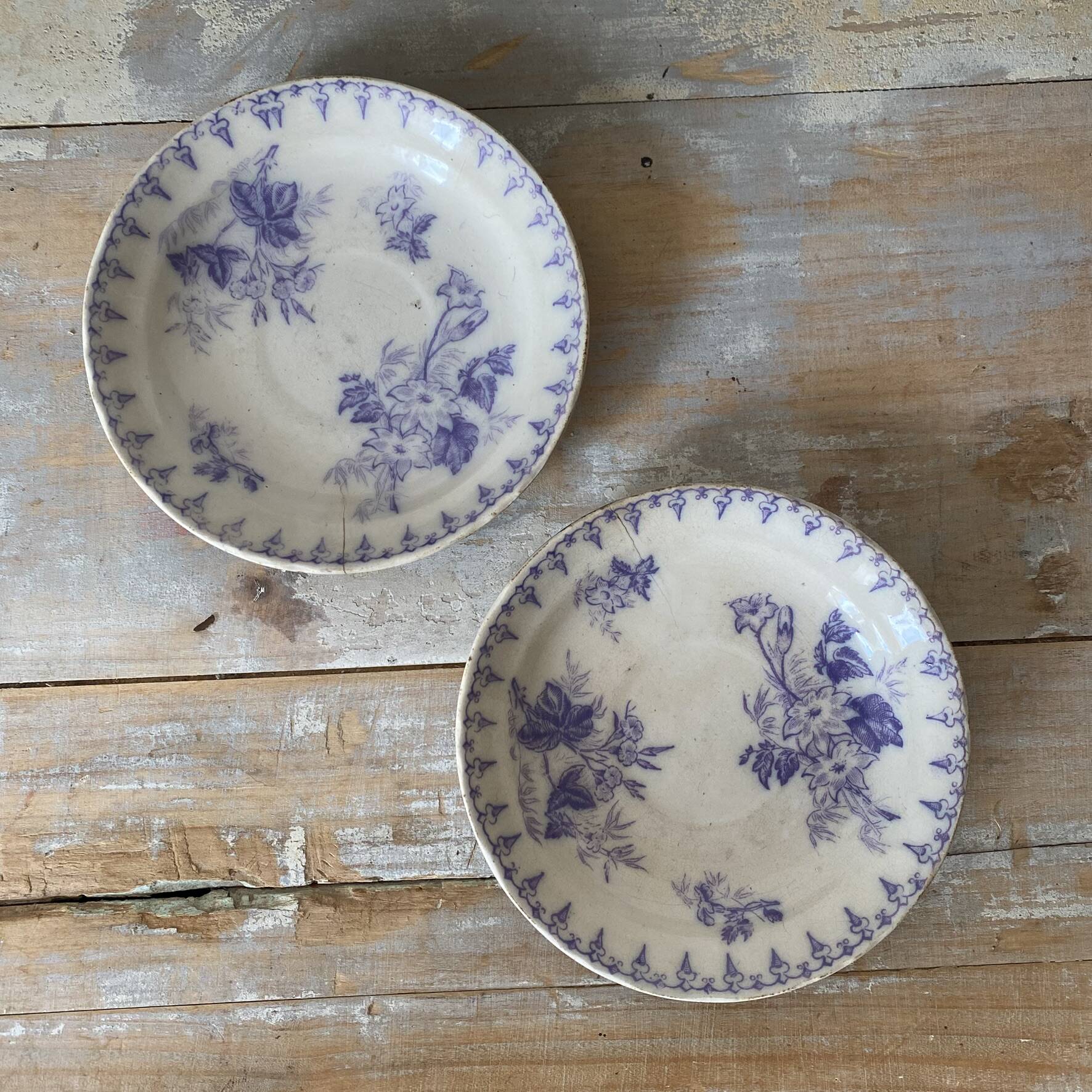 Assiettes en terre de fer décor Flore , coupelles  anciennes