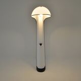 "Alba" floor lamp by Sergio Brazzoli & Ermanno Lampa for Harvey Guzzini, 1960s