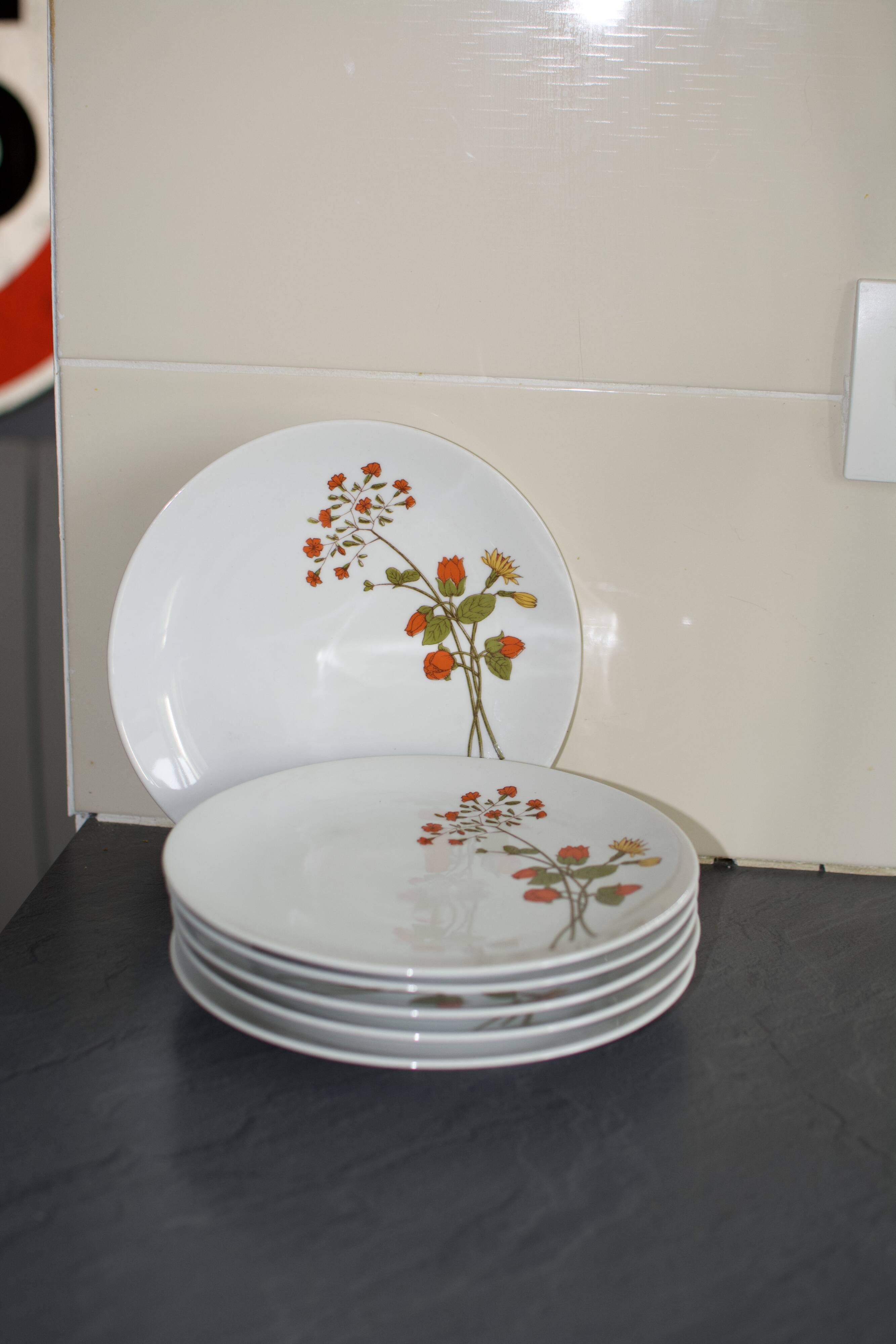 6 assiettes en porcelaine vintage a fleurs Bavaria