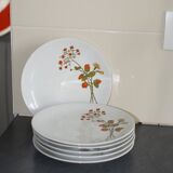 6 assiettes en porcelaine vintage a fleurs Bavaria