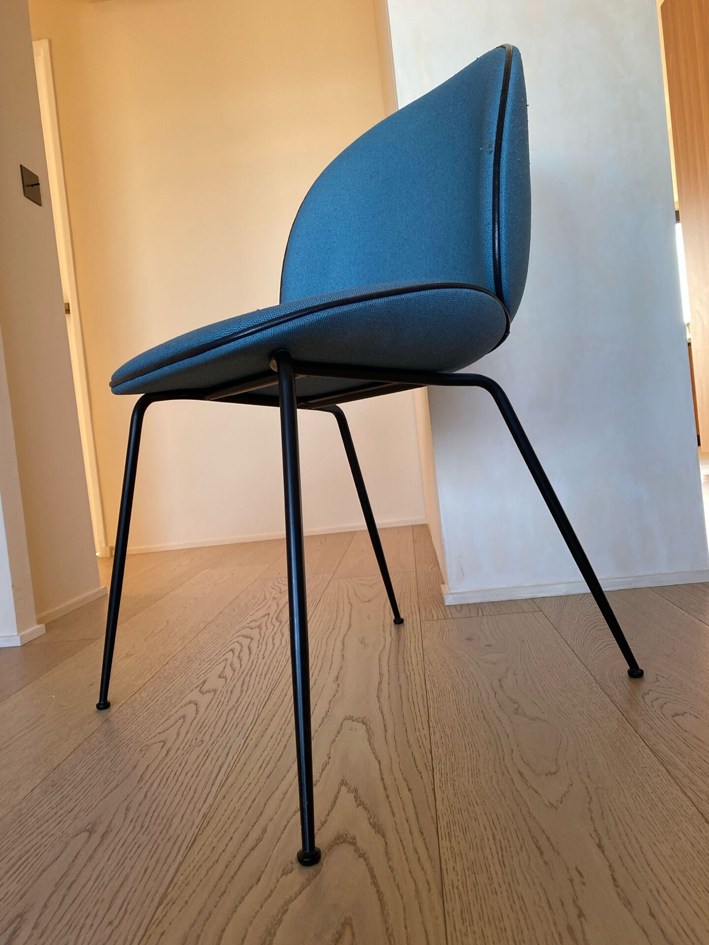 Chaises Gubi, Beetle bleu