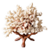 Corail blanc grand modèle 1960 sur bois sculpté