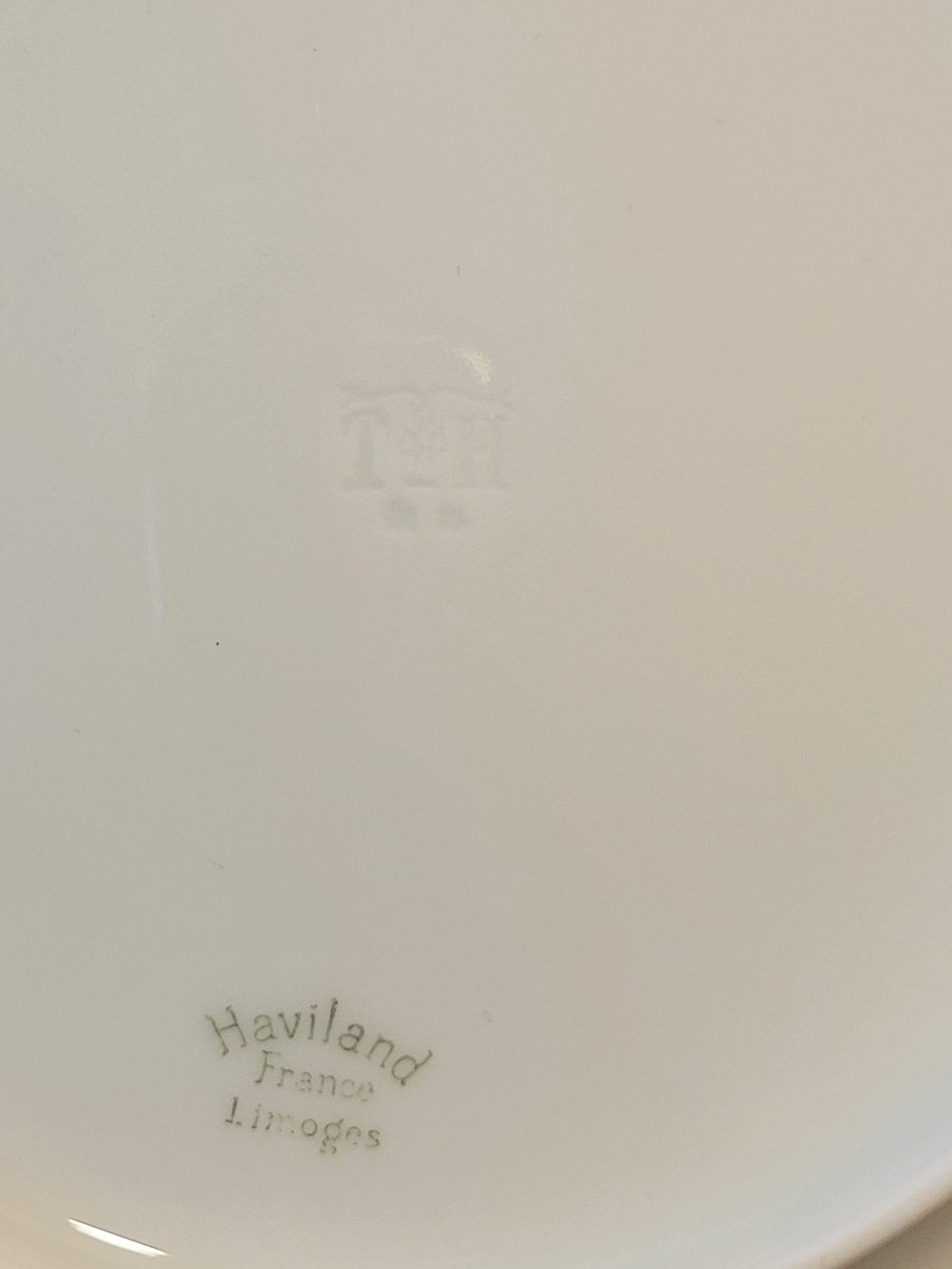 10 Haviland Torso Plates Diameter 19.5 Cm