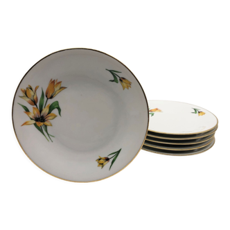 Dessert plates central porcelain R.C