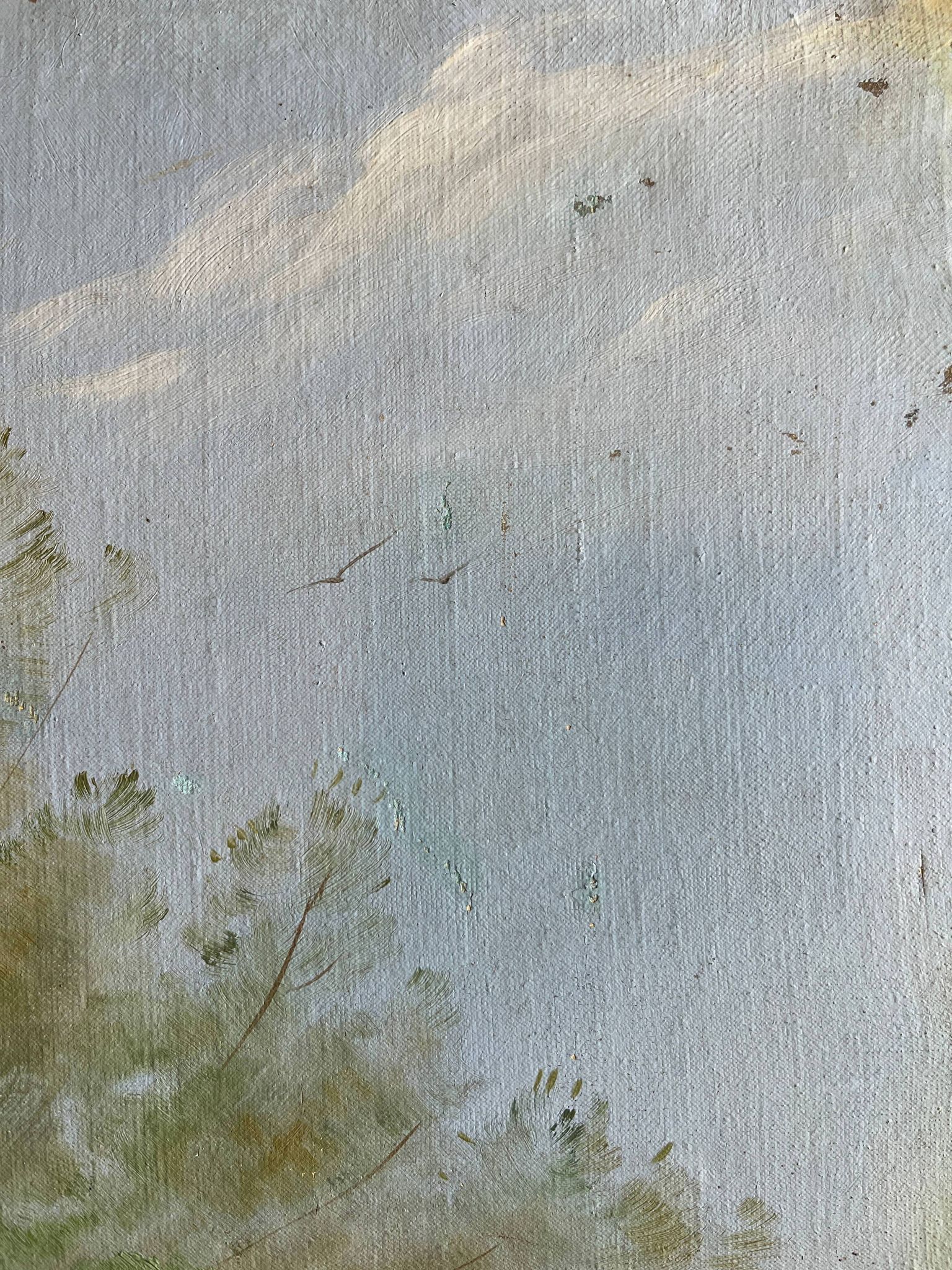 Tableau HST "Landscape by the Water with Cows" signed Paul Nicolet (20th century)