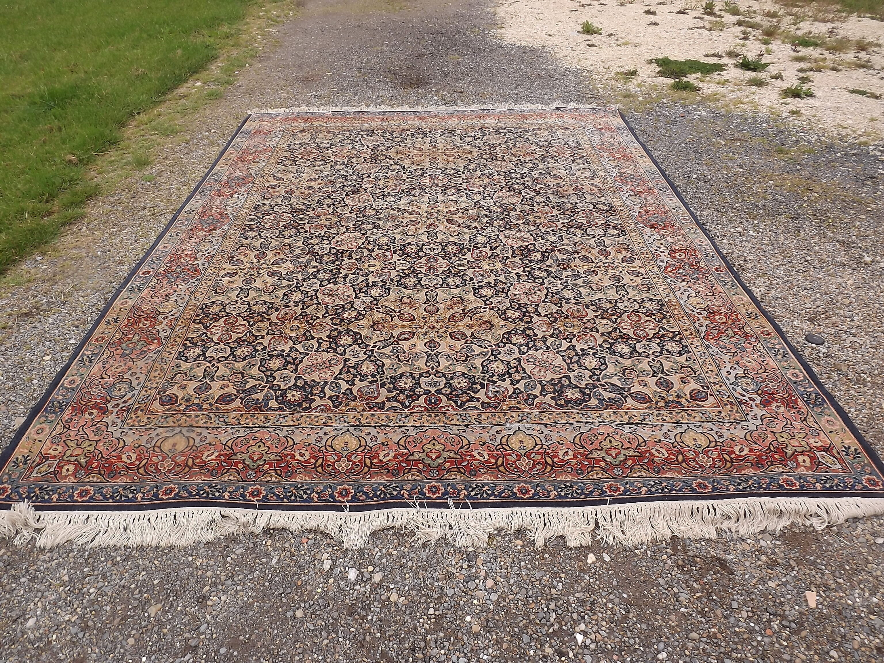 Woolmark rug pure Virgin wool 236 by 330