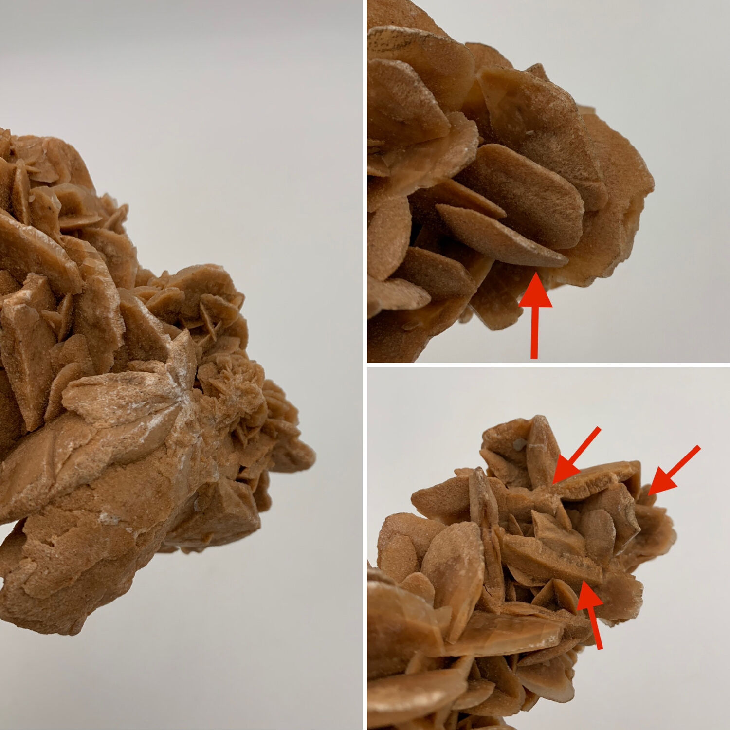 Sand rose, 555 grams, 16 cm x 9 cm