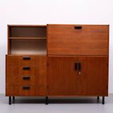Made to Measure cabinet by Cees Braakman for Pastoe, 1960s