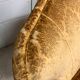 Paire de fauteuils baroque