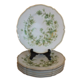 6 Limoges Haviland porcelain plates horn service