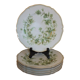 6 Limoges Haviland porcelain plates horn service
