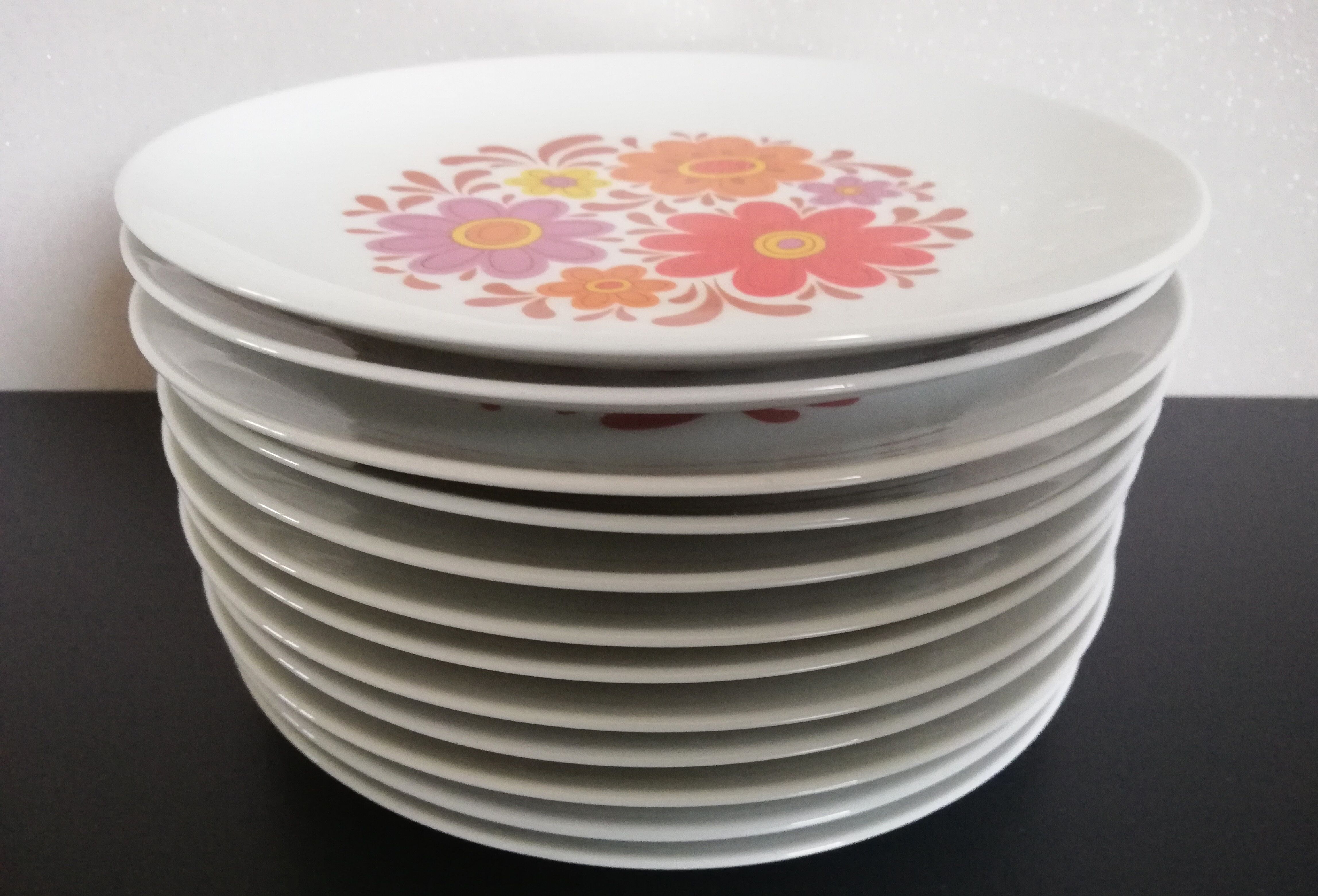 Service 12 plates winterling Bavaria 70s