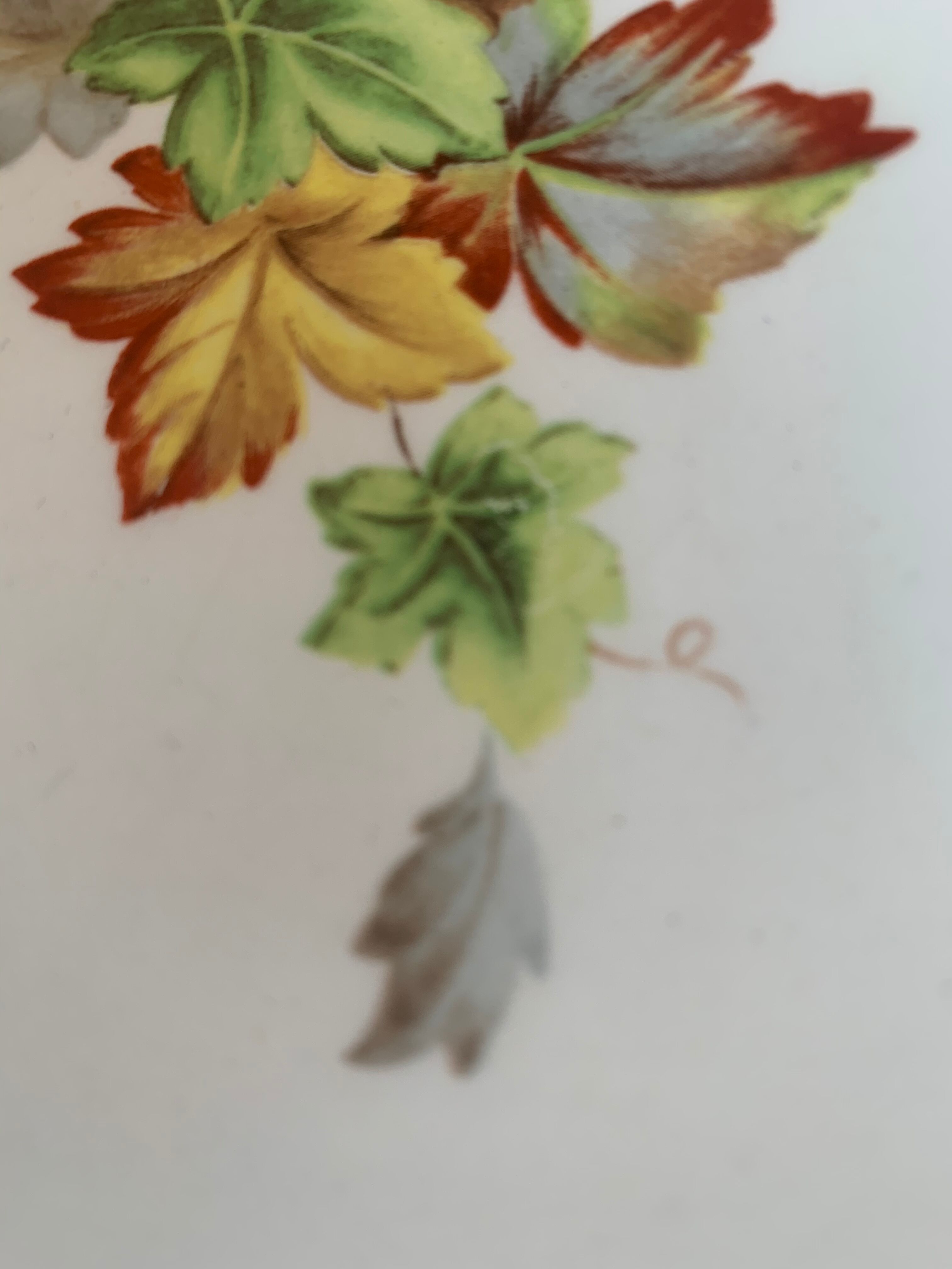 6 Gien hollow plates