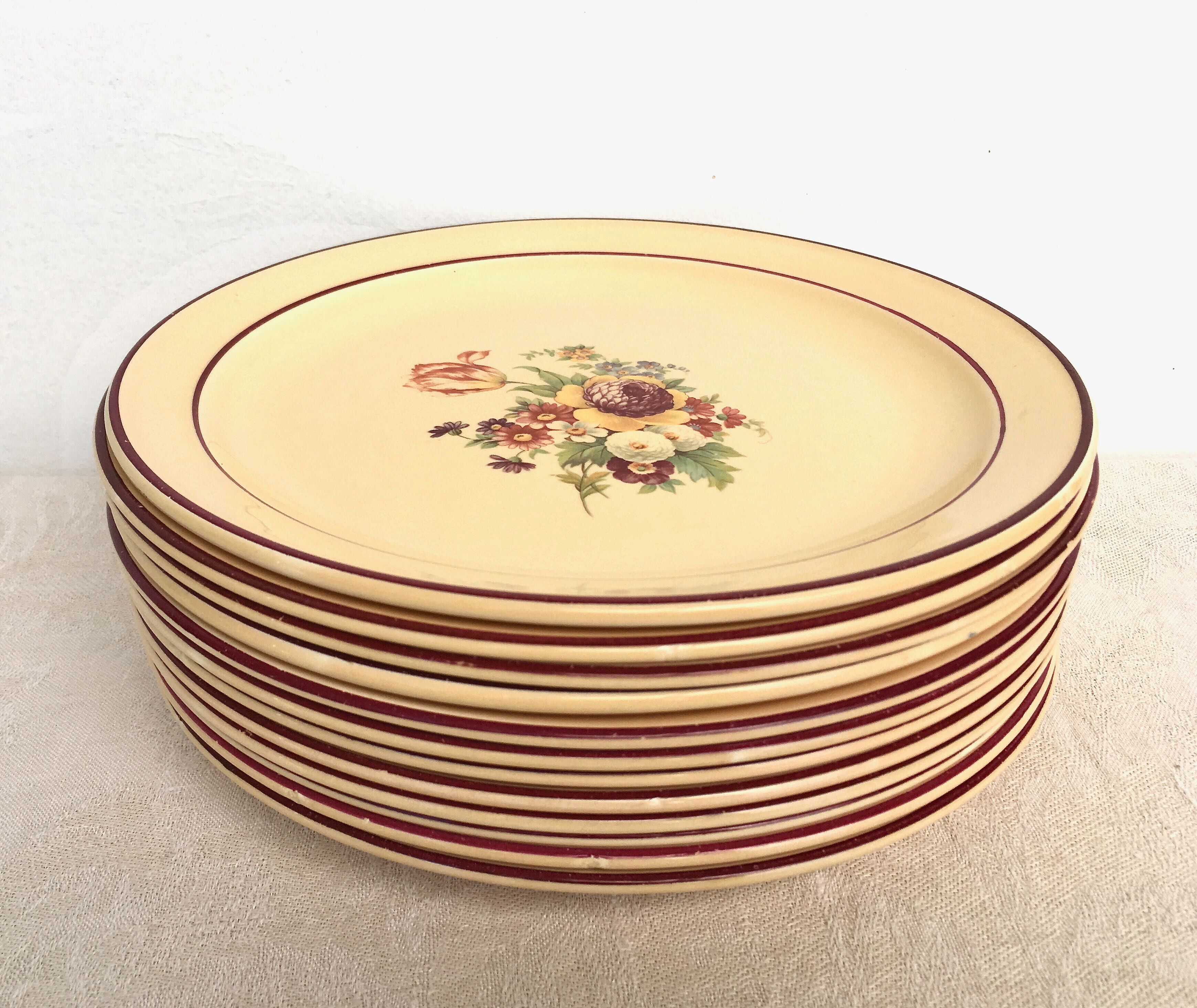 Set of 12 flat plates of Salins earthenware
