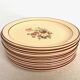 Set de 12 assiettes plates faïence de Salins