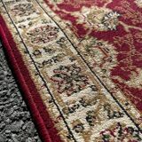 Oriental hallway rug