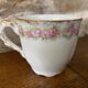 Cup and saucer Limoge porcelain decoration frieze of roses