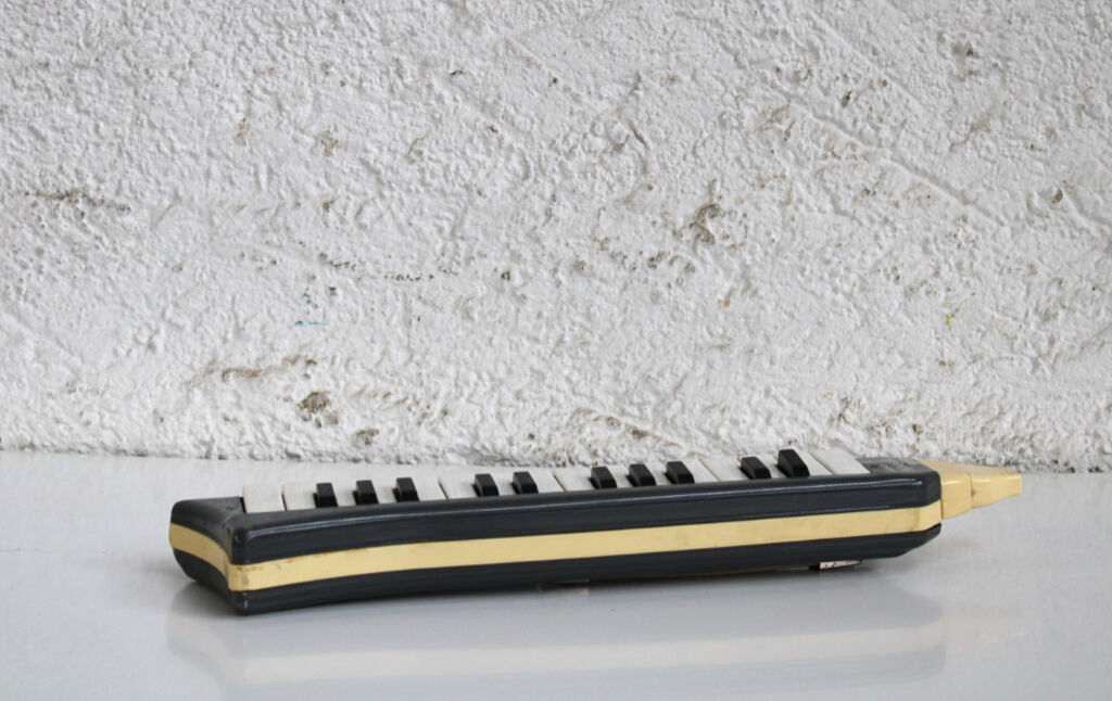 Musical instrument Melodica