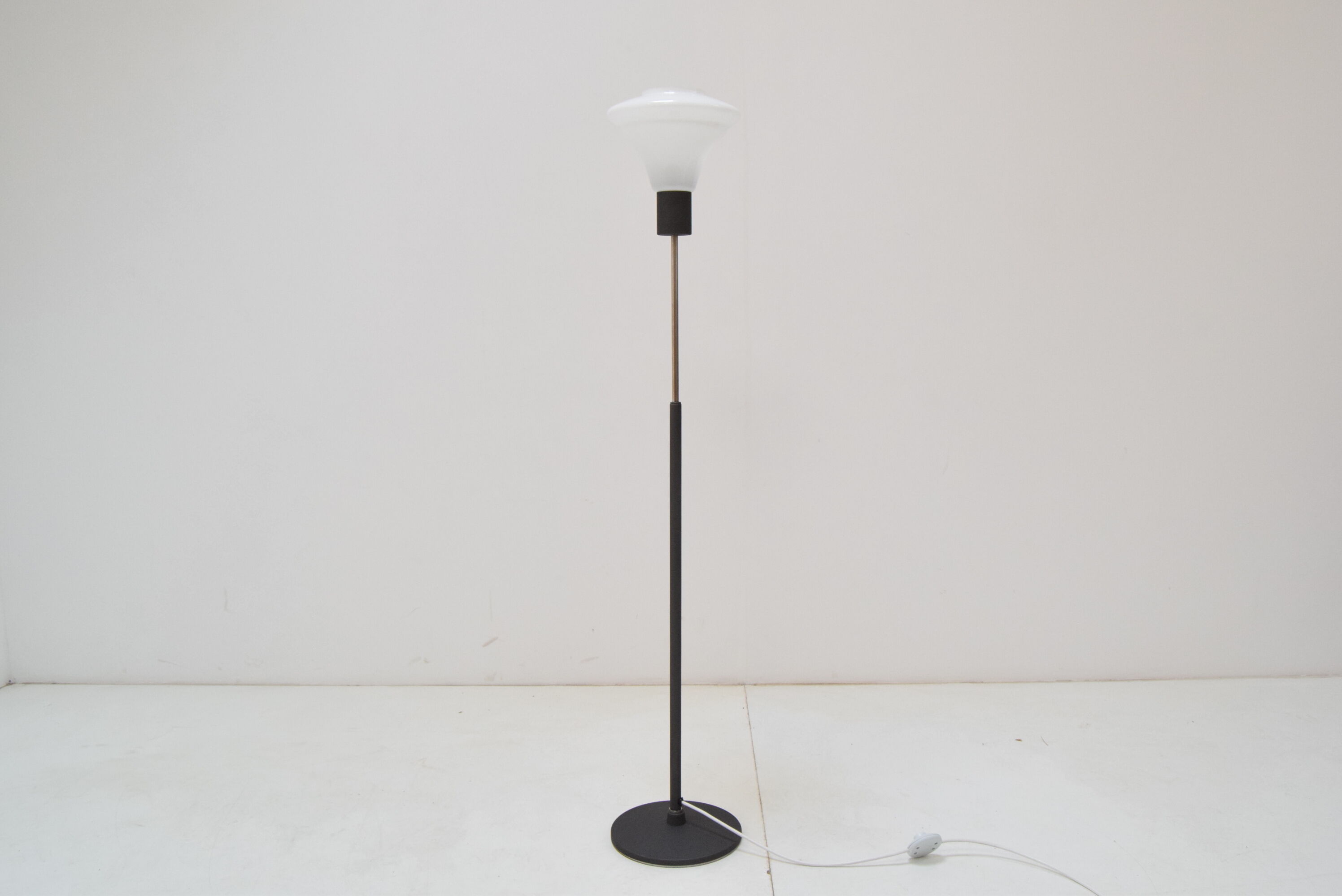 Mid-century floor lamp by Kamenicky Senov,1960