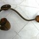 Wall-mounted coat rack with double hooks in metal and wood.