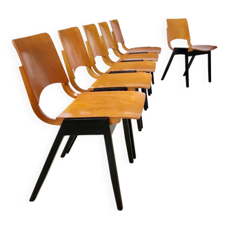 Set of 6 Dining Chairs P7 by Roland Rainer for E & A Pollack, Vienna 1952