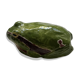 Grenouille en faïence émaillée
