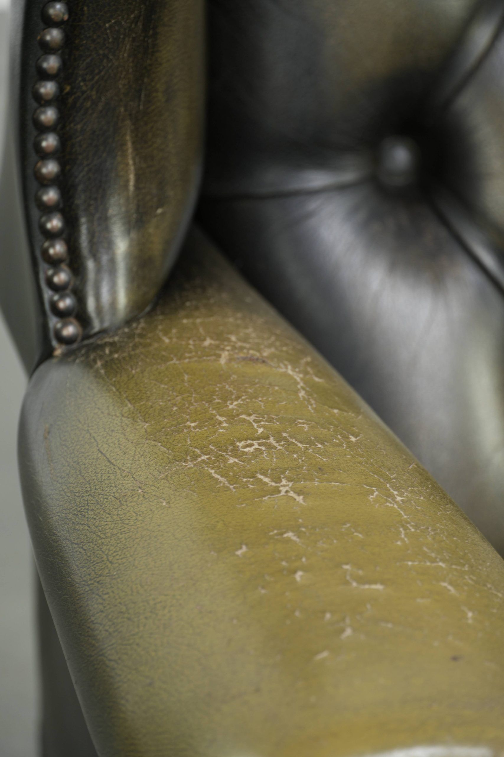 Vintage cowhide leather Chesterfield wingback armchair in a green colour