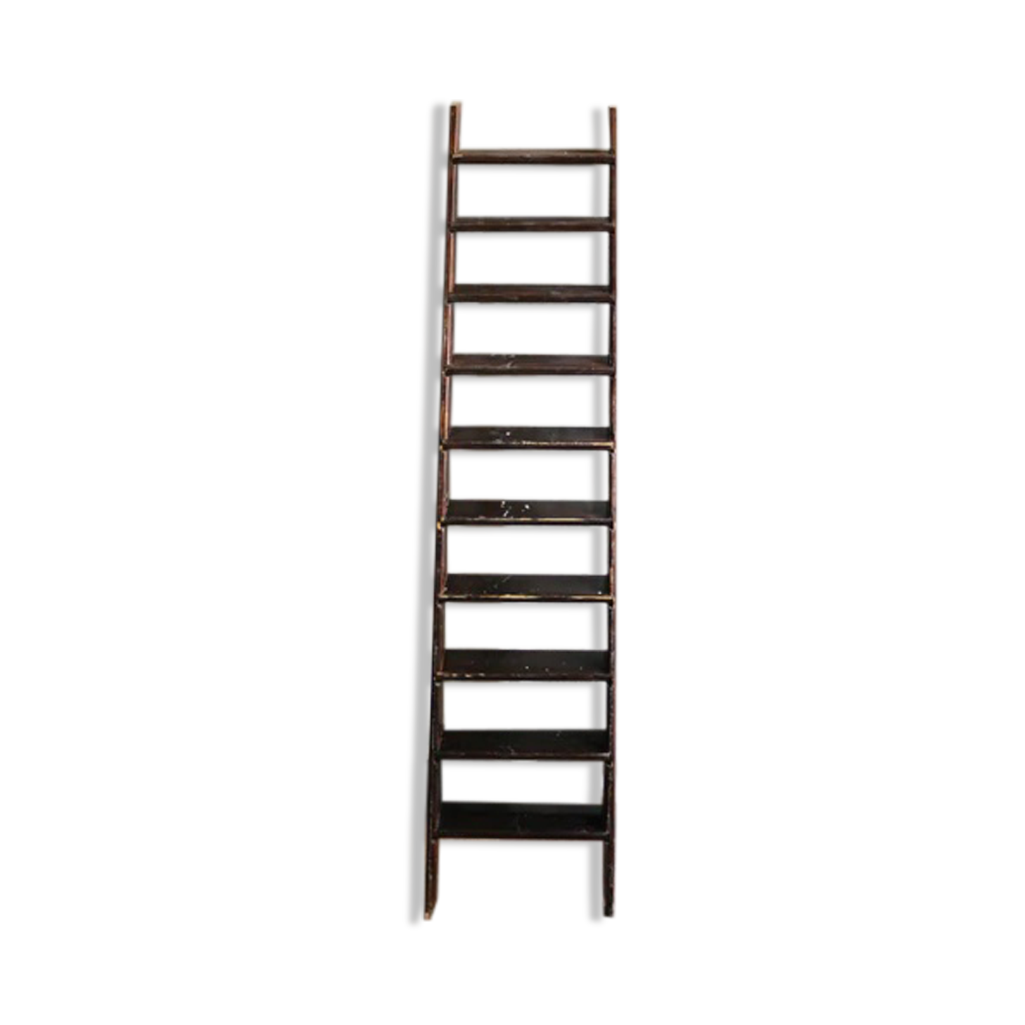 Large old ladder