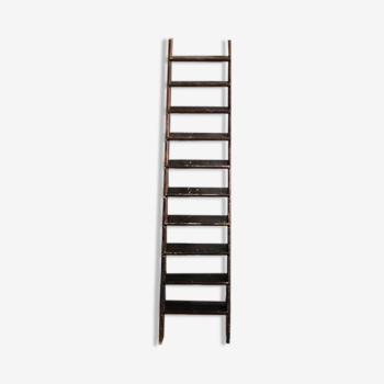 Large old ladder